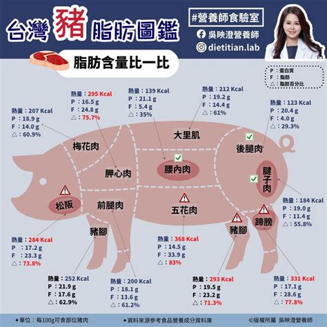 豬鼻筋|豬「最肥部位」不是五花肉而是「它」？腰內肉最軟嫩。